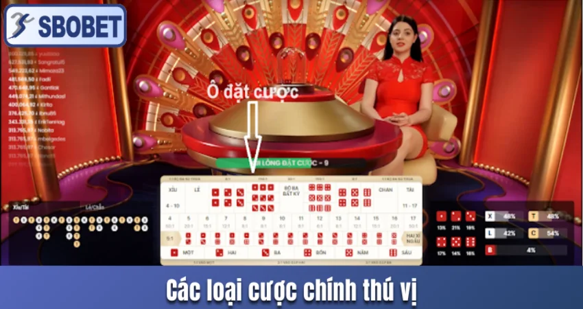 Các loại cược chính thú vị trong trò này