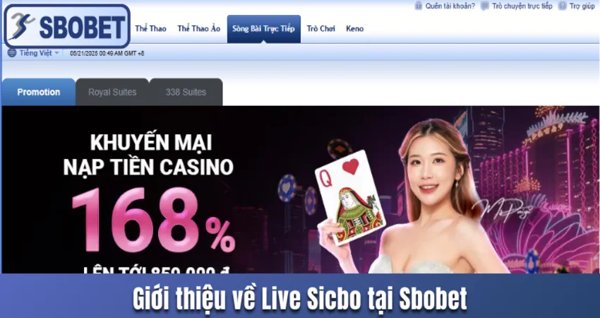 Khám phá phần giới thiệu về Live Sicbo