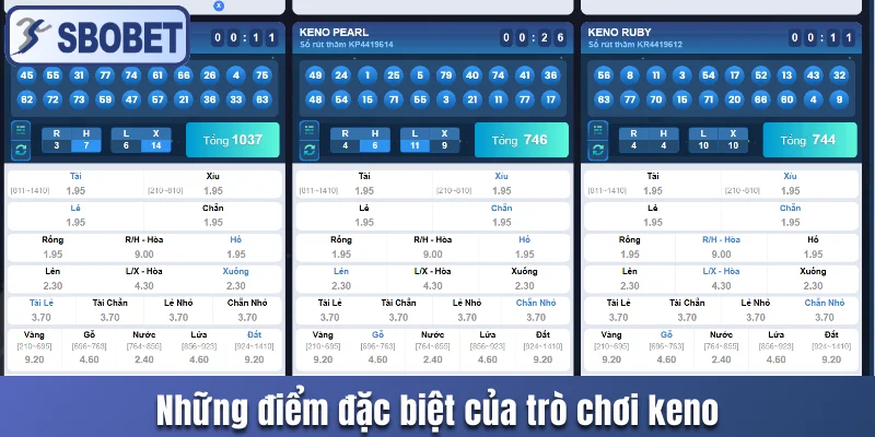 Những điểm đặc biệt của trò chơi keno