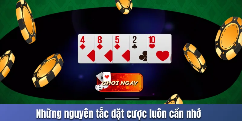 Những nguyên tắc đặt cược luôn cần nhớ
