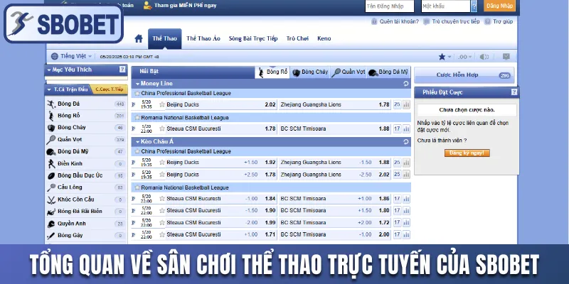 Tổng quan về sân chơi thể thao trực tuyến của Sbobet