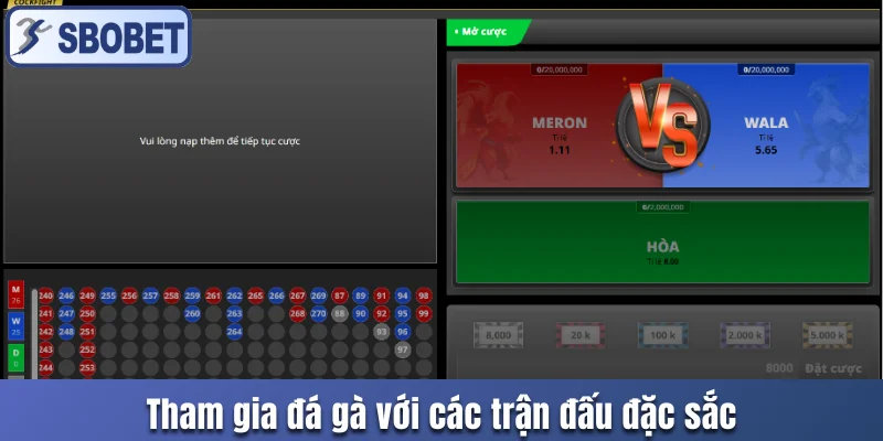 Tham gia đá gà với các trận đấu đặc sắc