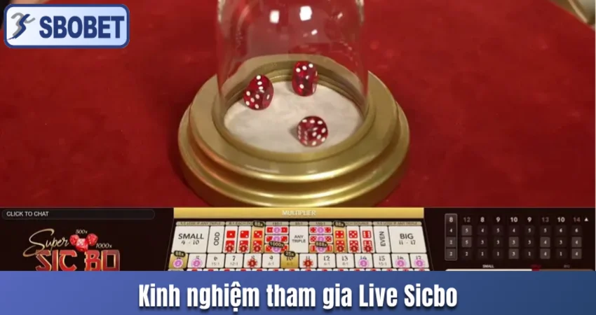 kinh nghiệm tham gia live sicbo