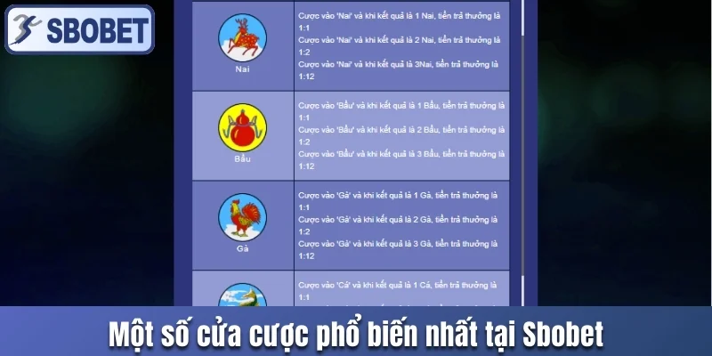 Một số cửa cược phổ biến nhất tại Sbobet