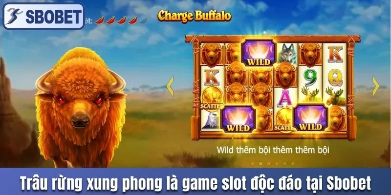 Trâu Rừng Xung Phong game slot nổi bật tại Sbobet